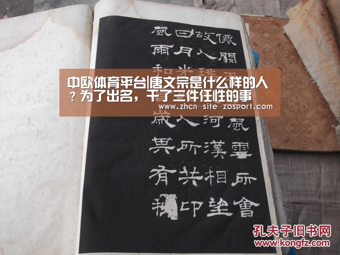 中欧体育平台|唐文宗是什么样的人?为了出名,干了三件任性的事(图3) zoty体育