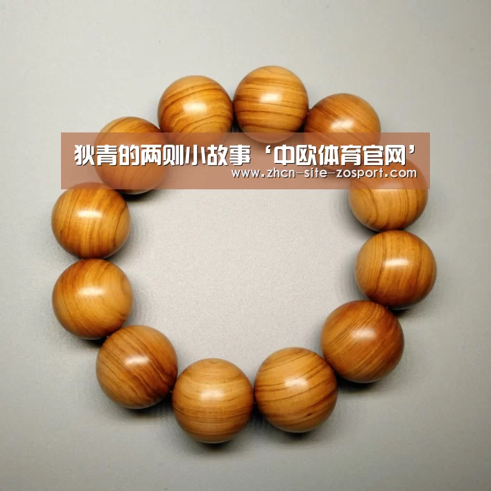 狄青的两则小故事‘中欧体育官网’(图2) zoty体育