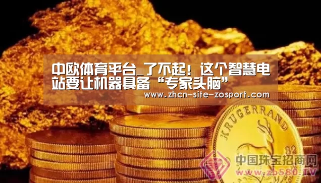 中欧体育平台_了不起!这个智慧电站要让机器具备“专家头脑”(图3) 中欧体育平台